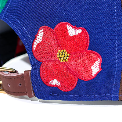 The Commonwealth Virginia Hat